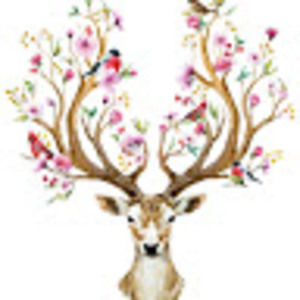 Meet your Posher, Cheyenne